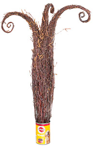 Risuveistos