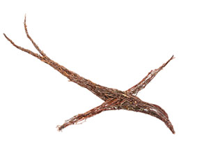 Risulintu