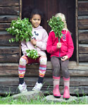 Vihta