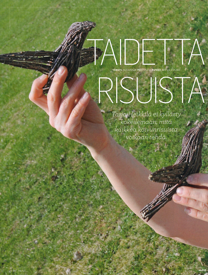 Taidetta risuista