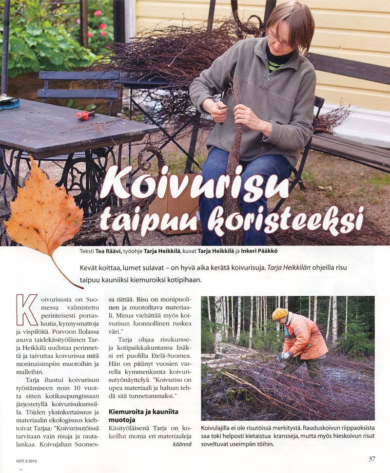 Koti - Koivurisu taipuu koristeeksi