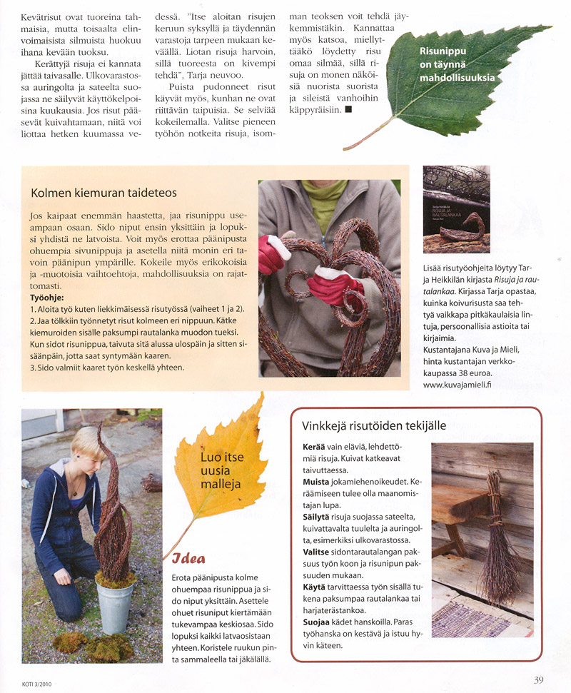 oti - Koivurisu taipuu koristeeksi