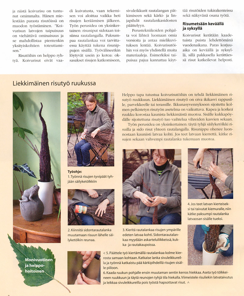 oti - Koivurisu taipuu koristeeksi