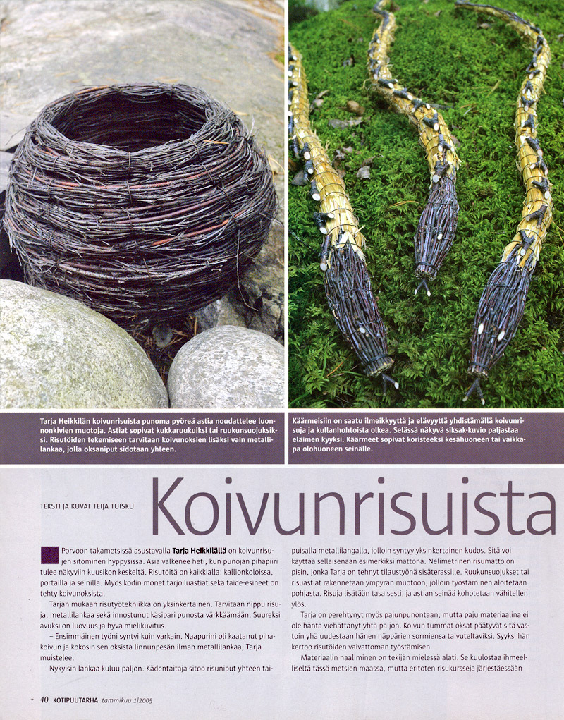 Koivurisuista taidetta