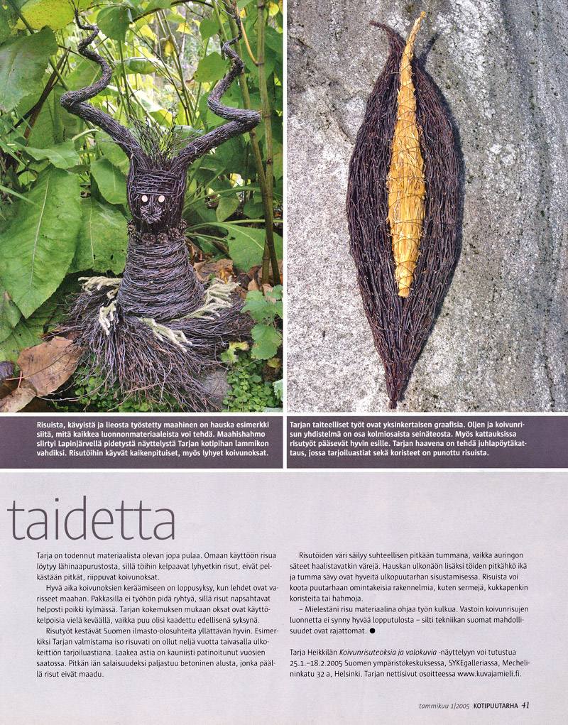 Taidetta koivurisusta
