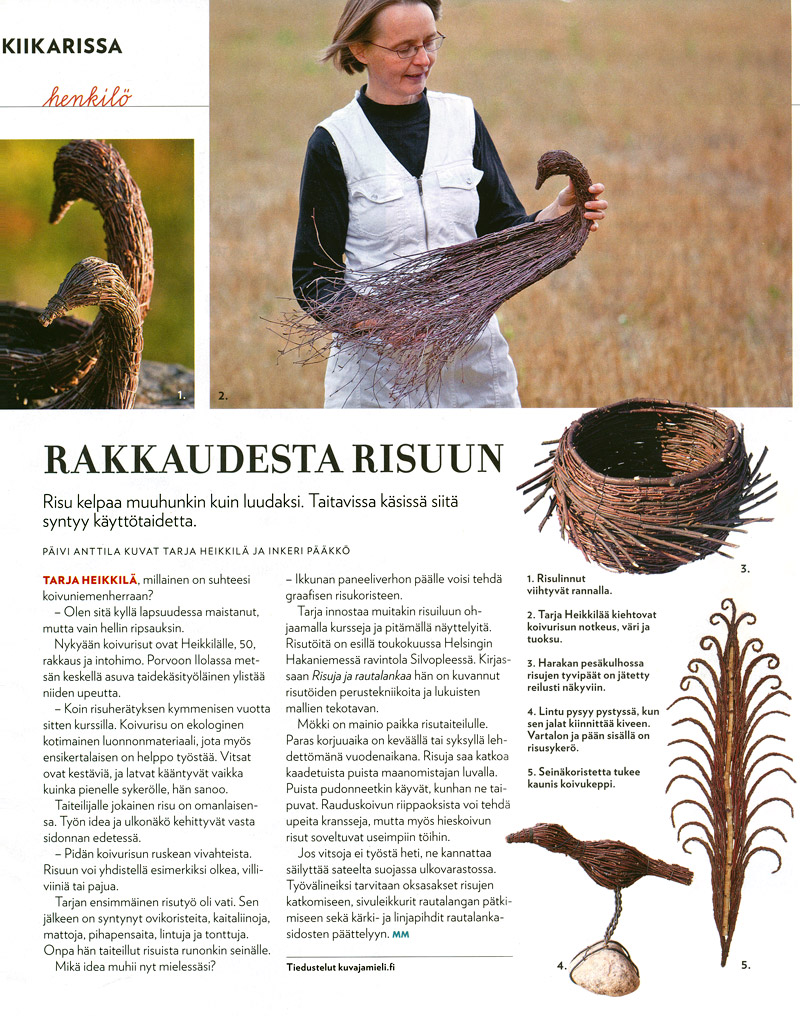 Rakkaudesta risuun
