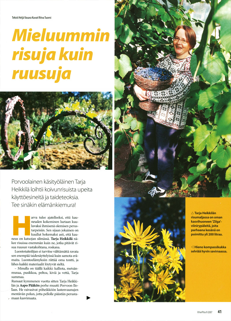 Mieluummin risuja kuin ruusuja