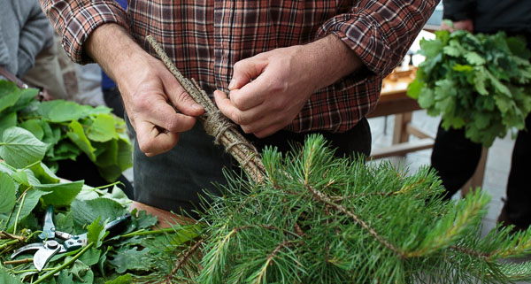 Havuvihta